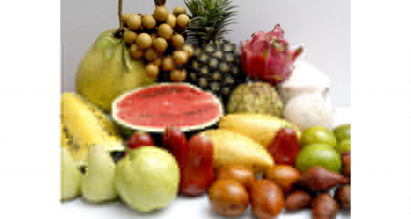 comida dieta